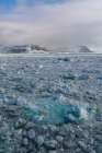 Sea ice in Wahlenbergfjorden fjord Nordaustlandet-Norway Art Print